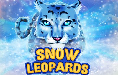 Snow Leopards